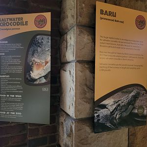 Toledo - Reptile House, Saltwater crocodile signs