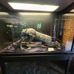 Toledo - Reptile House, Tiger fighting croc statue