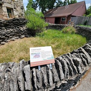 Toledo - Reptile House, Leopard tortoise (path to hellbenders and raptor barn was closed)