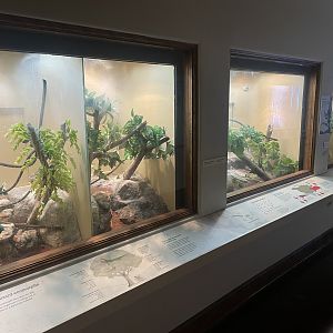 Reptile Terrariums