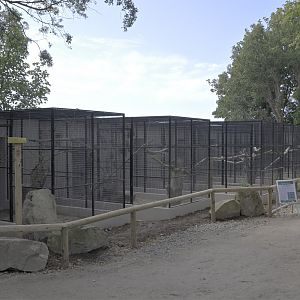 New range of aviaries for Lear's macaws