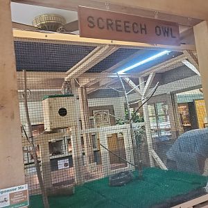 Okeeheelee Nature Center - Eastern Screech Owl cage