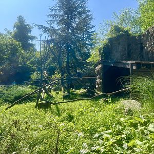 Exhibit housing Bald and Golden Eagles