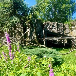 Exhibit housing Bald and Golden Eagles