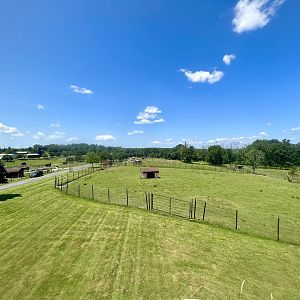 Overlooking the park