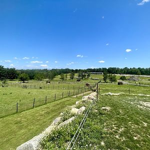 Overlooking the park