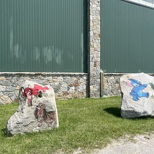 Courting Disney’s wraith