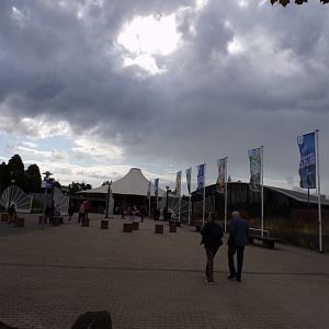 View coming up to entrance 13.7.23