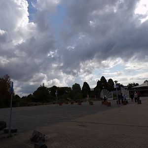 View coming up to entrance 13.7.23