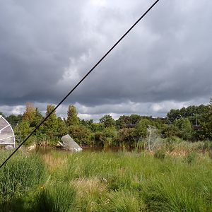 Water feature next to entrance 13.7.23
