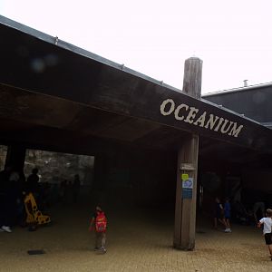 Oceanium- Entrance 13.7.23
