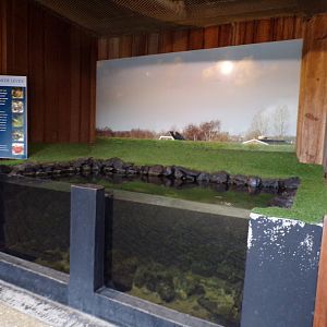 Oceanium- Strange empty tank 13.7.23