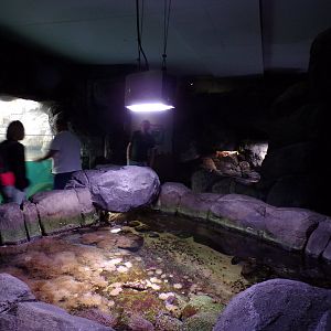 Oceanium- General view 13.7.23