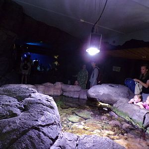 Oceanium- General view 13.7.23