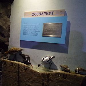 Oceanium- interesting bird signage 13.7.23