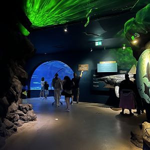 Oceanium- General view 13.7.23