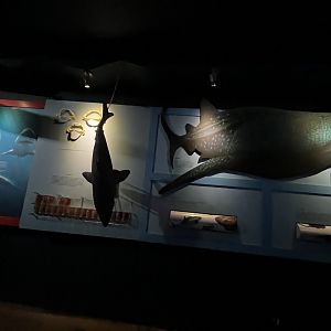 Oceanium- Signage example 13.7.23