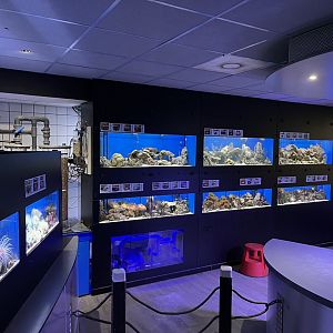 Oceanium- Research area 13.7.23