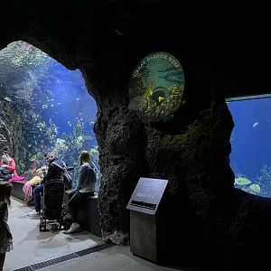 Oceanium- General view 13.7.23