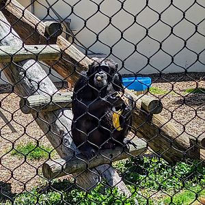 Tasty treat - July 8th 2023