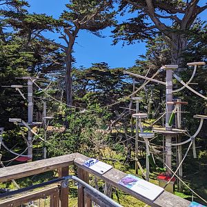 Lipman Family Lemur Forest - July 8th 2023