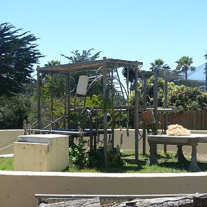 One of the Orangutan Habitats - July 8th 2023