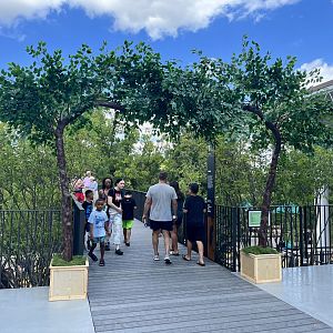 Treetop Trail - Entrance