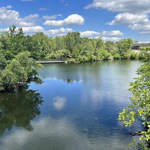 Main Lake from Treetop Trail