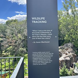 Treetop Trail - Wildlife Tracking Sign