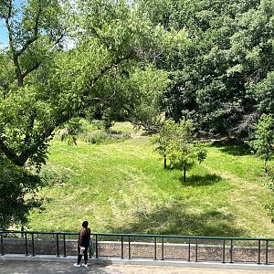 Reindeer Exhibit from the Treetop Trail