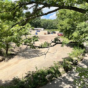 Construction(?) from the Treetop Trail