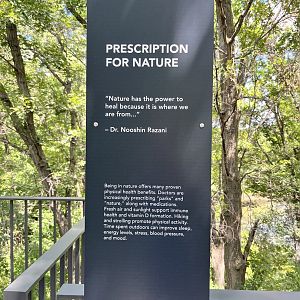 Treetop Trail - Prescription for Nature Sign