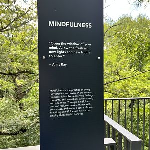Treetop Trail - Mindfulness Sign