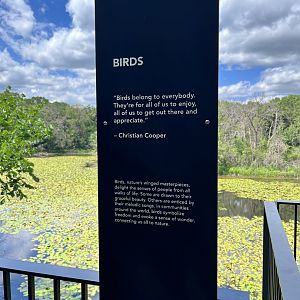 Treetop Trail - Birds Sign