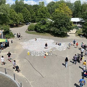 Treetop Trail Chalk Art