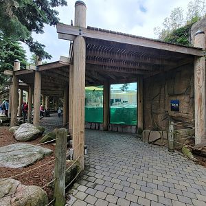 Toledo Zoo, Arctic Encounter - Harbor seal, gray seal, and California sea lions, outdoor viewing