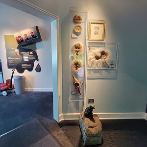 Toledo Zoo, Arctic Encounter - Arctic information