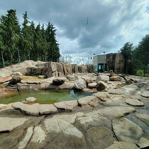 Toledo Zoo, Arctic Encounter - Polar bear yard, far side of the exhibit