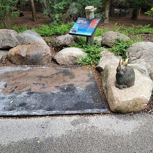 Toledo Zoo, Arctic Encounter - Hare statue