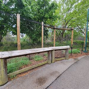 Toledo Zoo, Arctic Encounter - Gray wolves