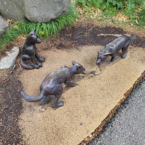 Toledo Zoo, Arctic Encounter - Gray wolf pup statue