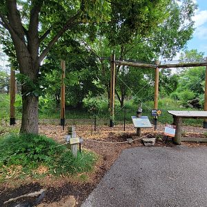Toledo Zoo, Arctic Encounter - Gray wolves