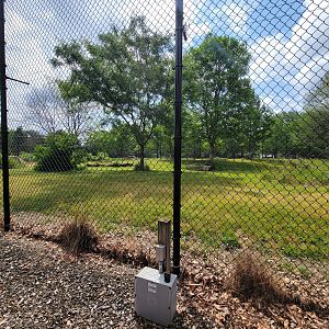 Toledo Zoo, Africa! - Cheetah yard from train