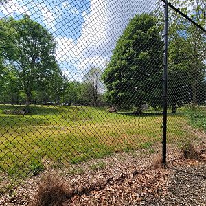 Toledo Zoo, Africa! - Cheetah yard from train