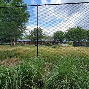Toledo Zoo, Africa! - Cheetah yard from train
