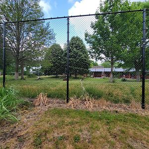 Toledo Zoo, Africa! - Cheetah yard from train