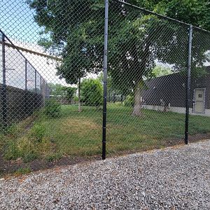 Toledo Zoo, Africa! - Cheetah side yard from train