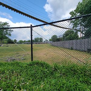 Toledo Zoo, Africa! - Savannah from train