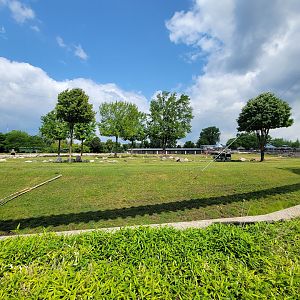 Toledo Zoo, Africa! - Savannah from train