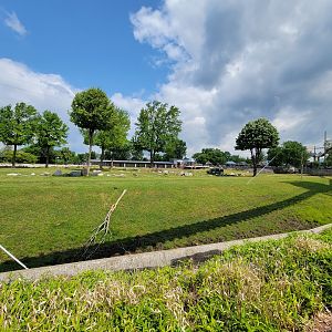 Toledo Zoo, Africa! - Savannah from train